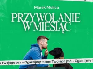 przywołanie w miesiąc | e book