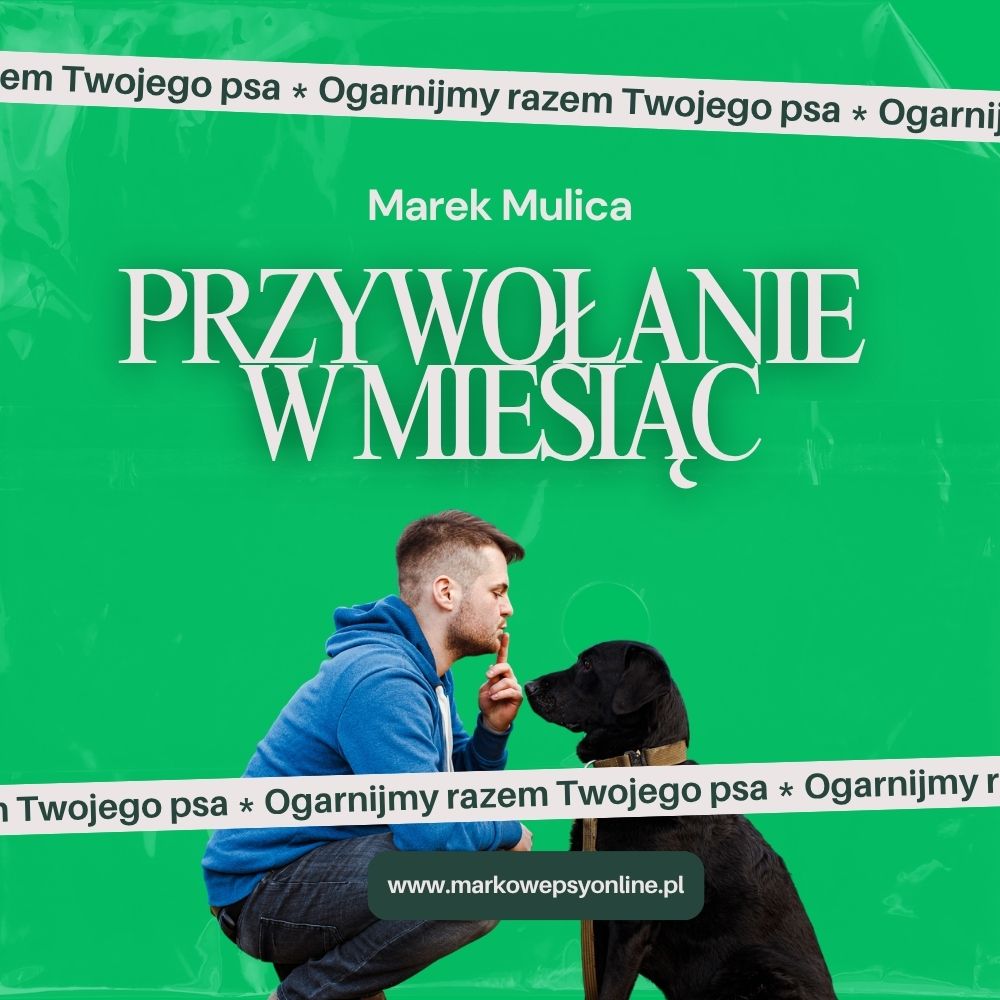 przywołanie w miesiąc | e book