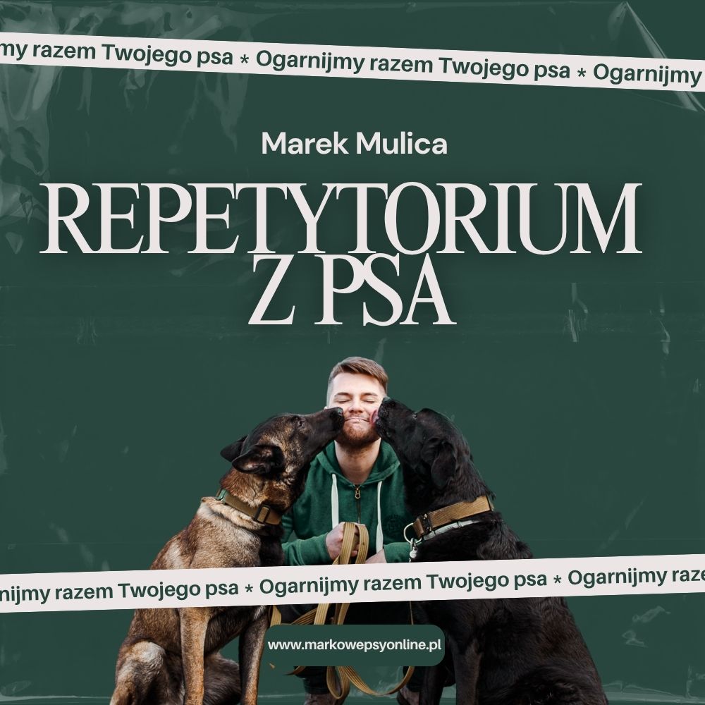 repetytorium z psa | kurs wideo