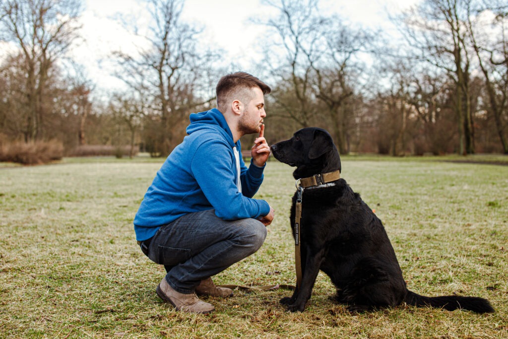 P 33 1024x683