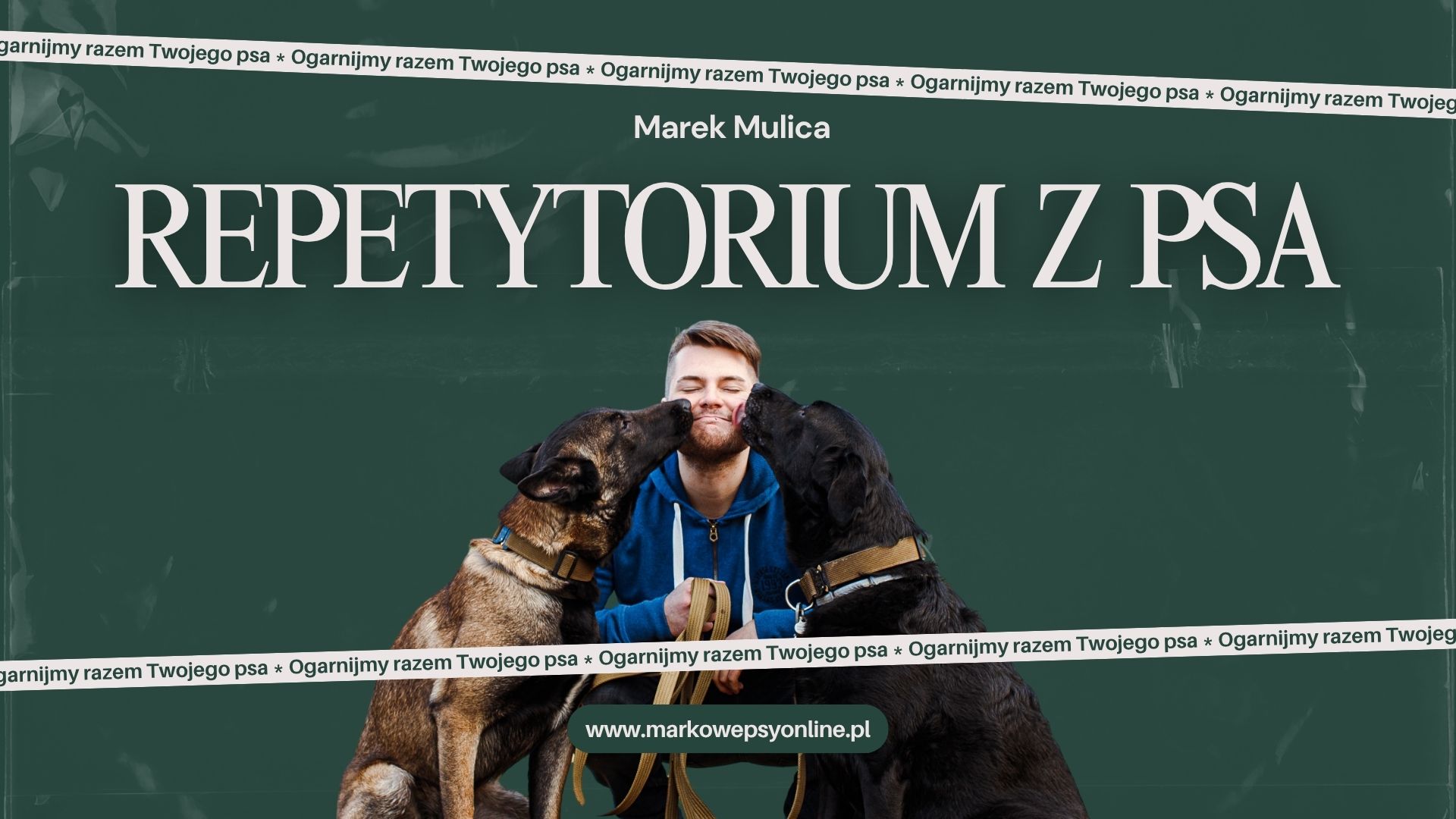 Repetytorium z psa – kurs wideo