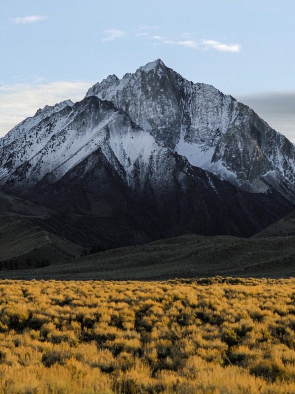 Snow Mountains 02